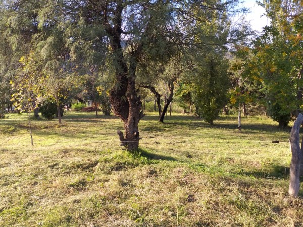 Venta Casa en San Luis 